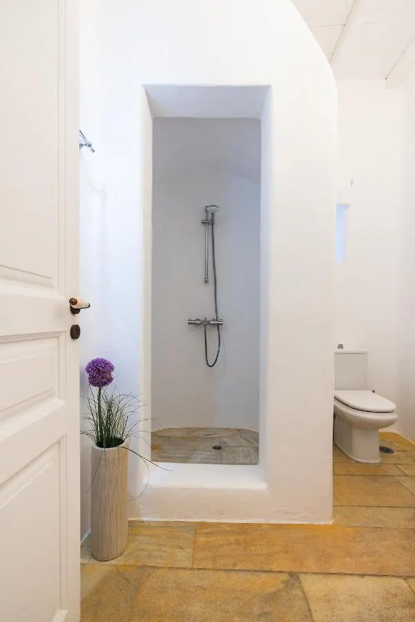 Villa Artisti Mykonos 阿格拉瑞