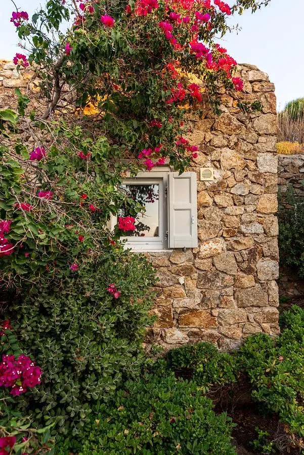Villa Artisti Mykonos 阿格拉瑞